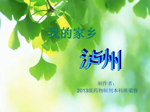 我的家乡泸州