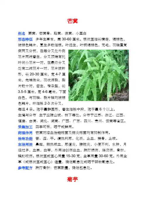 中草药彩色图片大全