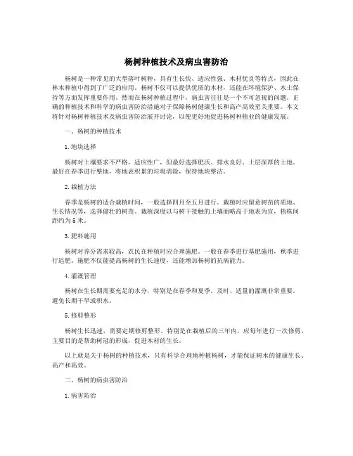 杨树种植技术及病虫害防治