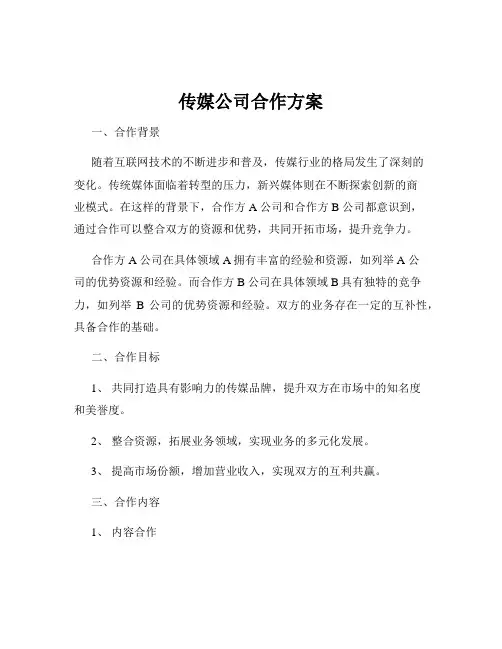 传媒公司合作方案