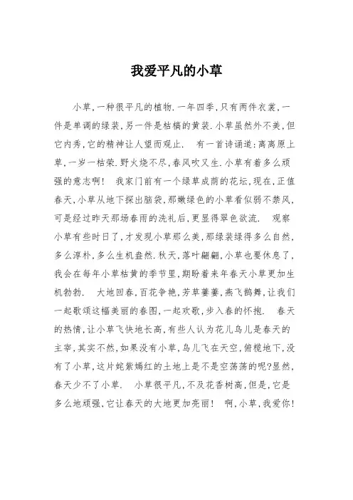 小学记叙文作文：我爱平凡的小草72