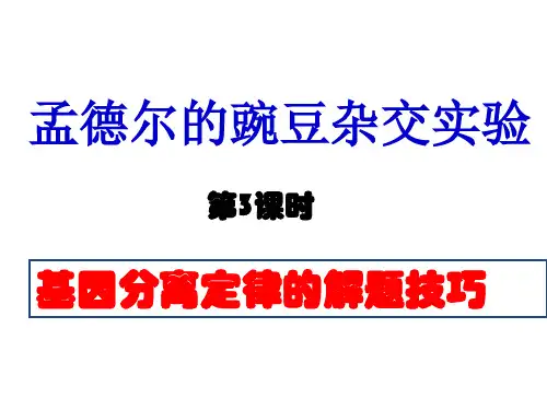 基因分离定律复习 ppt课件