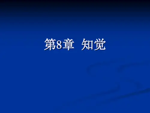 第8章  知觉