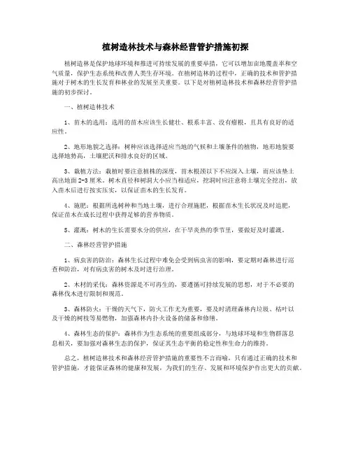 植树造林技术与森林经营管护措施初探