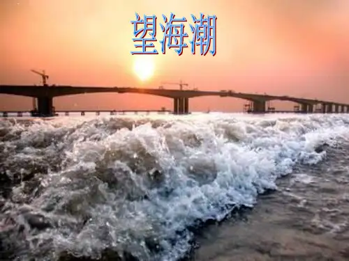 人教版高中语文必修四《望海潮》PPT精品课件