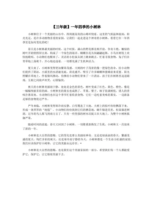 【三年级】一年四季的小树林