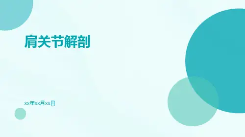 (医学课件)肩关节解剖