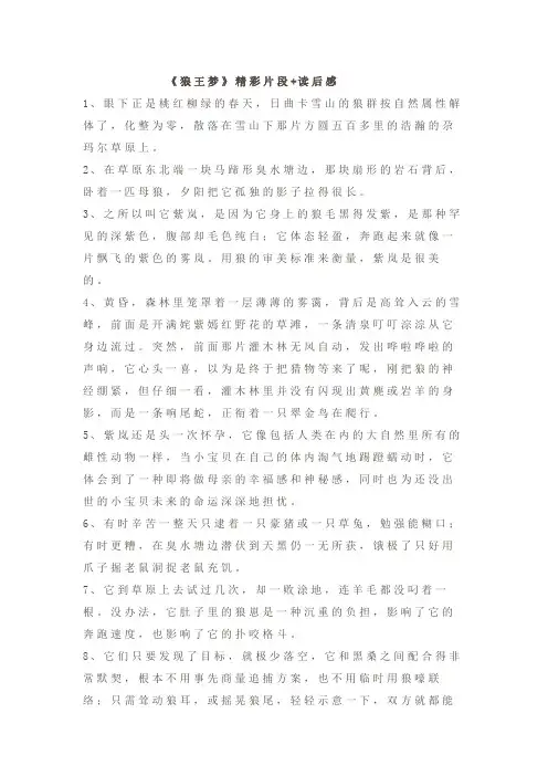 《狼王梦》精彩片段摘抄+读后感两篇