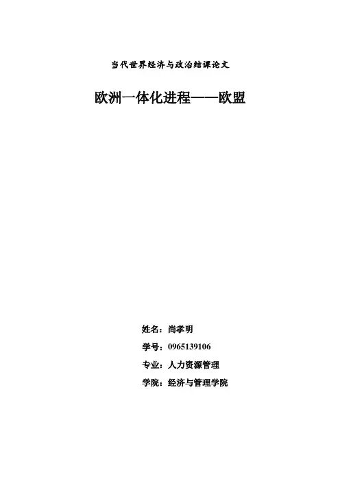 欧盟一体化进程——欧盟
