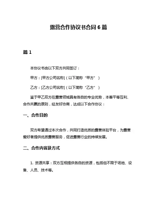 露营合作协议书合同6篇
