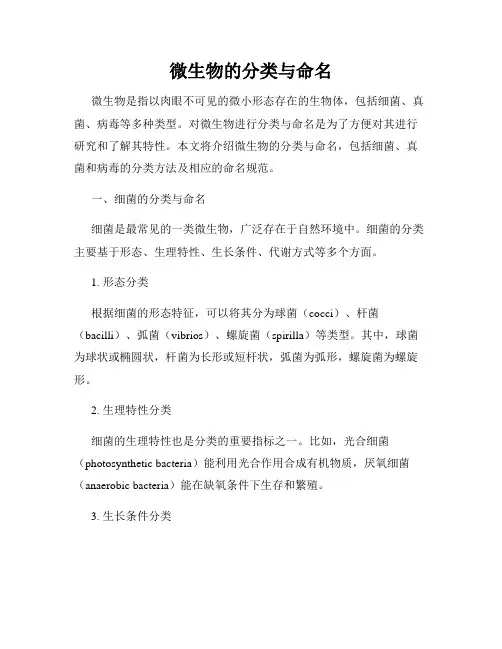 微生物的分类与命名