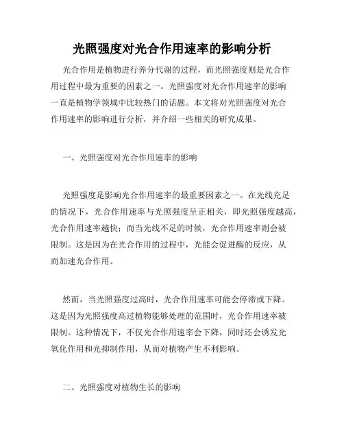 光照强度对光合作用速率的影响分析