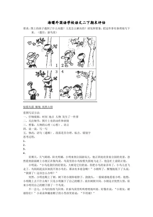 二年级看图写话 新鸟窝