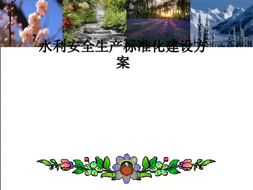 水利安全生产标准化建设方案