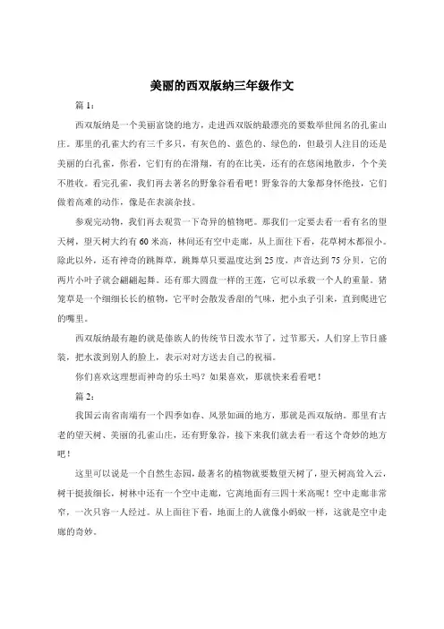 美丽的西双版纳三年级作文300字