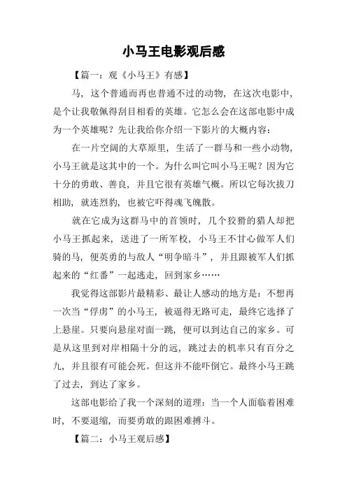 小马王电影观后感