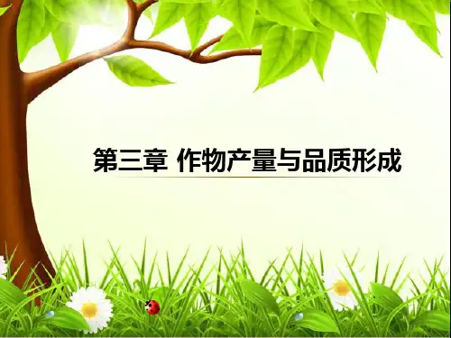 第三章作物产量与品质形成