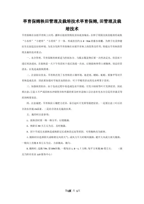 旱育保姆秧田管理及栽培技术旱育保姆,田管理及栽培技术