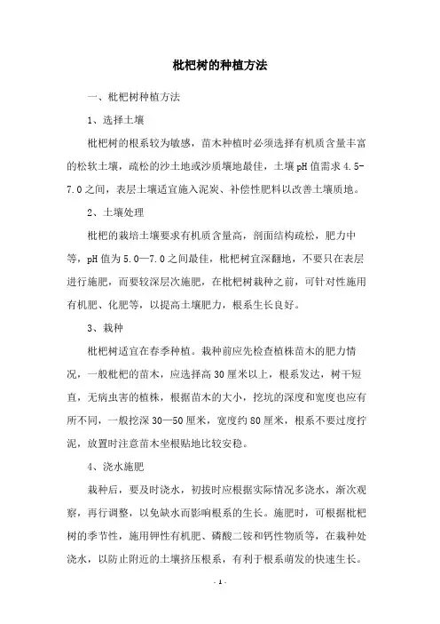 枇杷树的种植方法