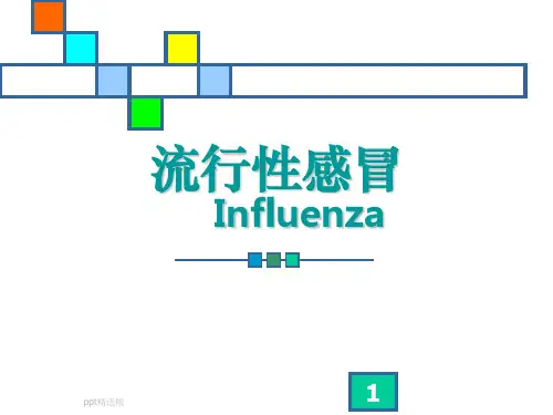 流行性感冒ppt精选课件