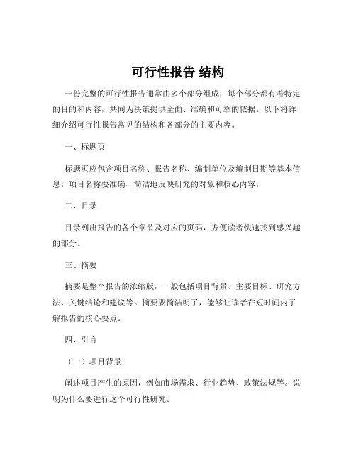 可行性报告 结构
