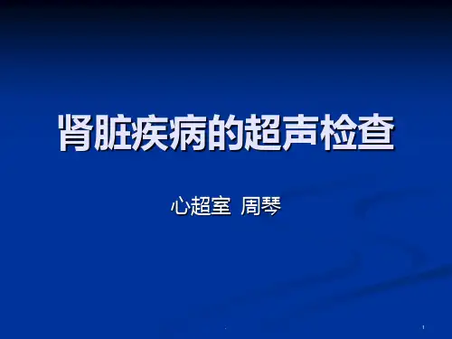 肾脏疾病的超声诊断演示文稿PPT课件
