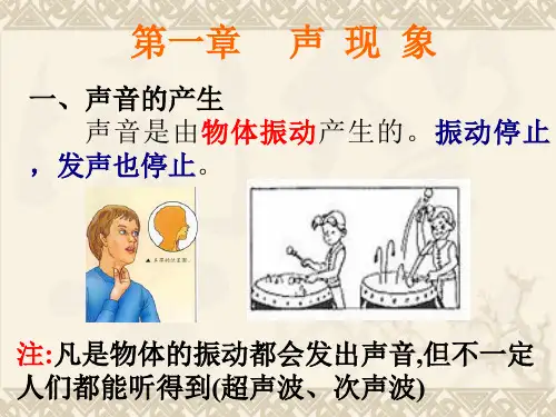 中考物理备考复习课件声现象 人教版优秀课件