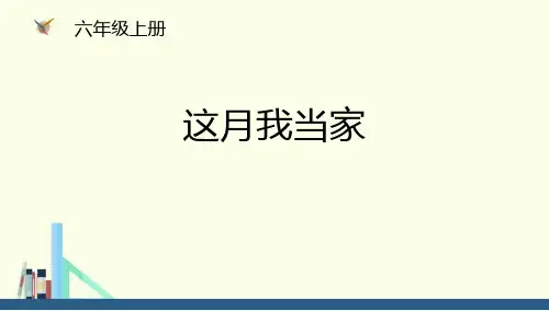 《这月我当家》PPT