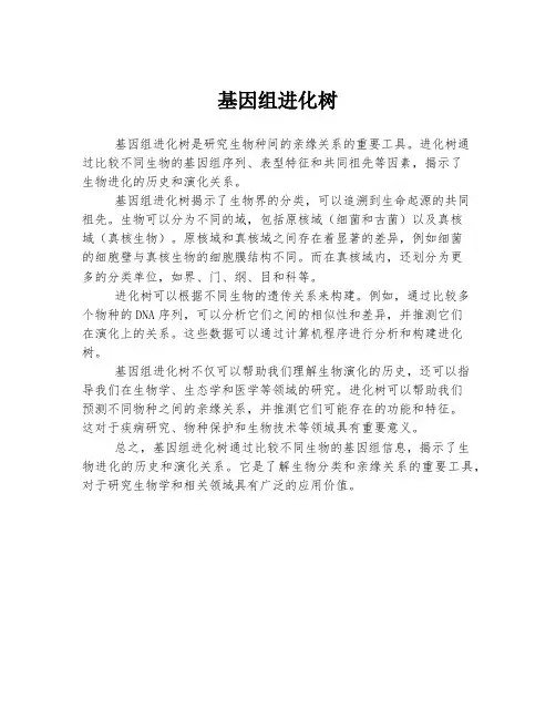 基因组进化树