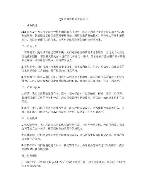 syb苗圃种植创业计划书