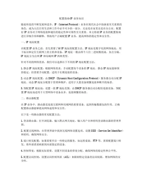 配置指南-IP业务知识