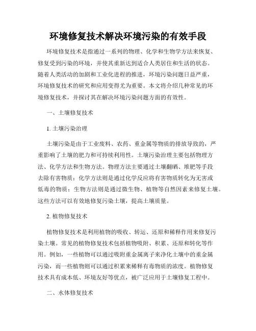 环境修复技术解决环境污染的有效手段