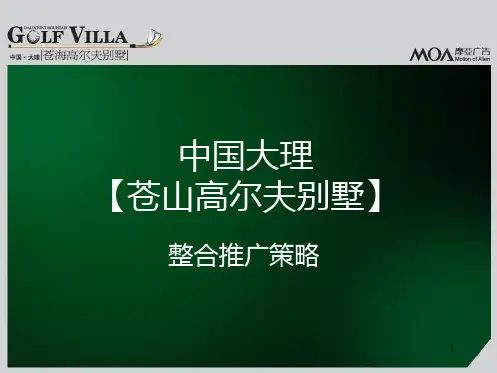 苍海高尔夫提案PPT课件