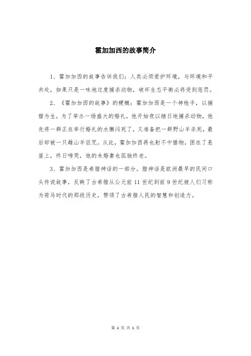 霍加加西的故事简介