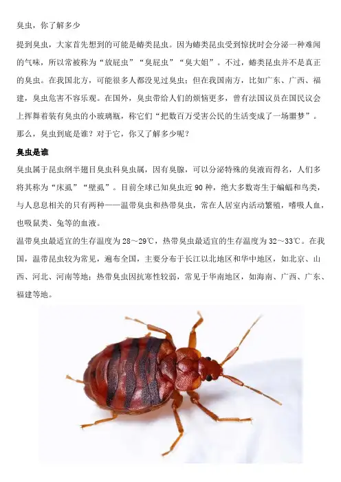 臭虫,你了解多少