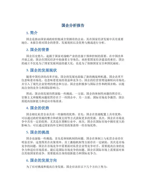 国企分析报告