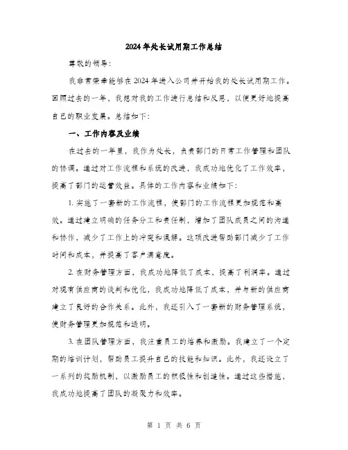 2024年处长试用期工作总结(二篇)