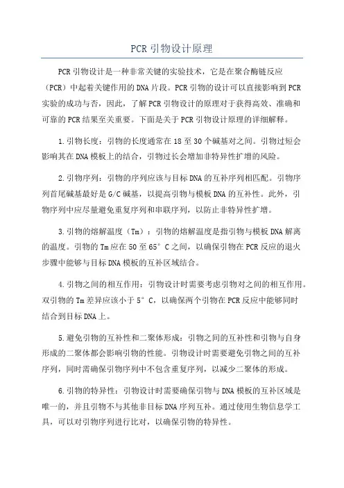 PCR引物设计原理