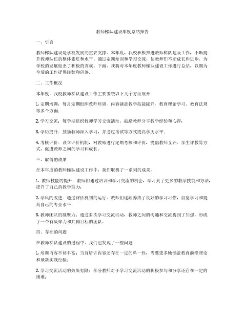 教师梯队建设年度总结报告