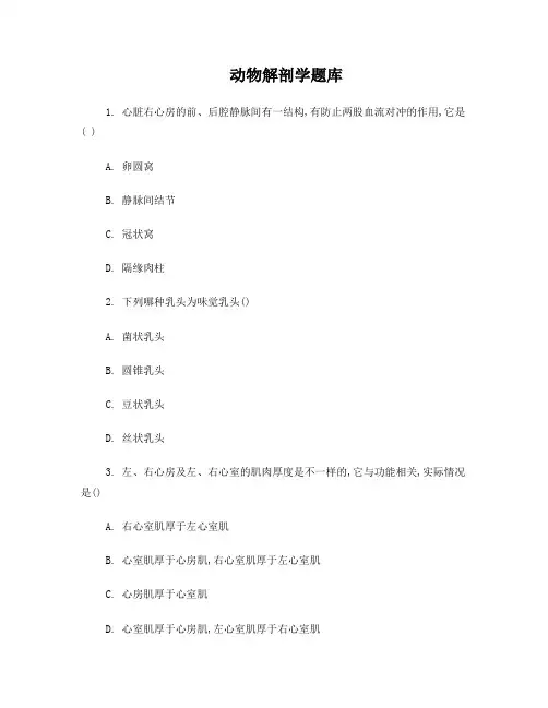 动物解剖学题库