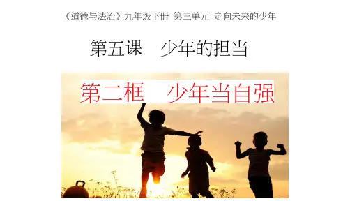 人教版九年级道德和法治下册第五课第2框少年当自强18张课件
