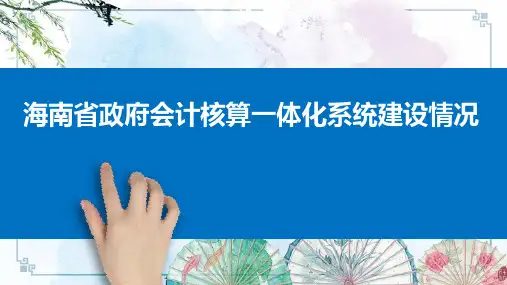 海南省政府会计核算一体化信息系统建设情况汇报(6.5日)