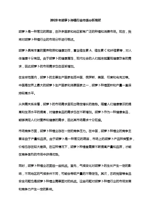 2023年胡萝卜种植行业市场分析现状