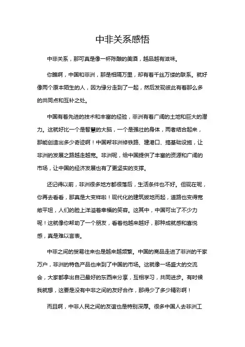 中非关系感悟