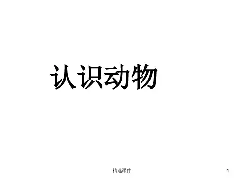 《宝宝学认识动物》PPT课件