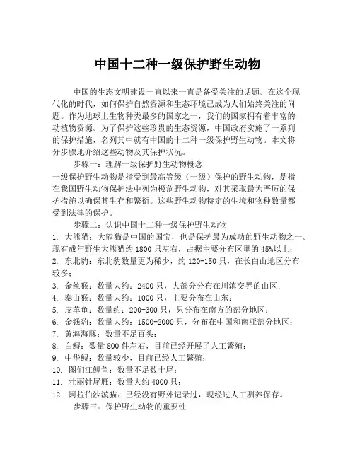 中国十二种一级保护野生动物