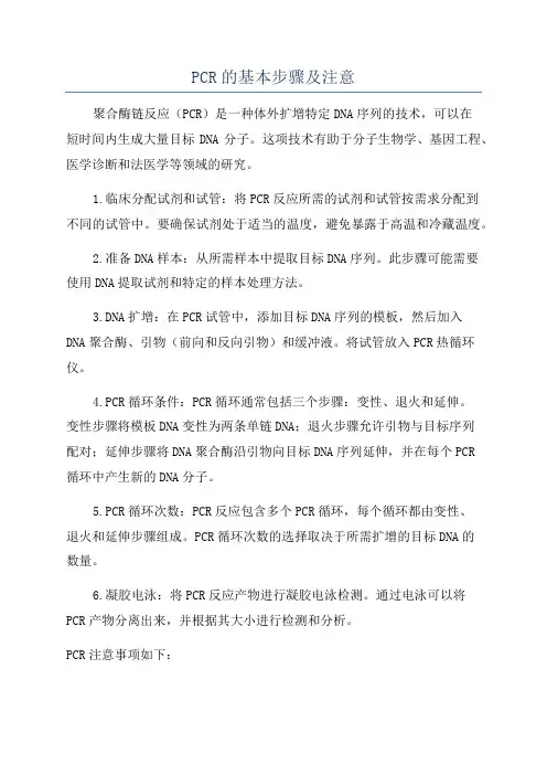 PCR的基本步骤及注意