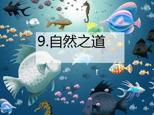 9.自然之道精品PPT课件