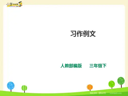 三年级下册语文课件 第五单元《习作例文》一课时(人教部编版)(共31张PPT)