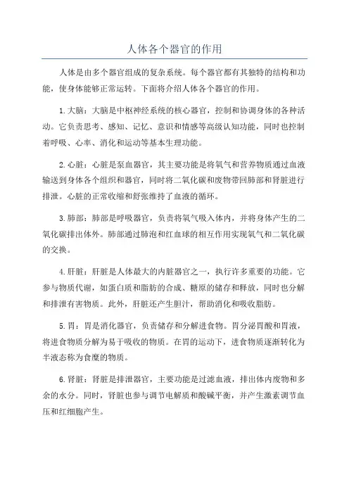 人体各个器官的作用